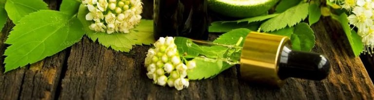 Bienfaits de l'huile essentielle de bergamote sur la santé