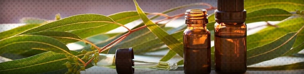 Top 10 des avantages et des utilisations de l'huile d'eucalyptus