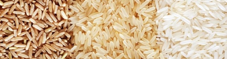 Bienfaits de la protéine de riz brun sur la santé