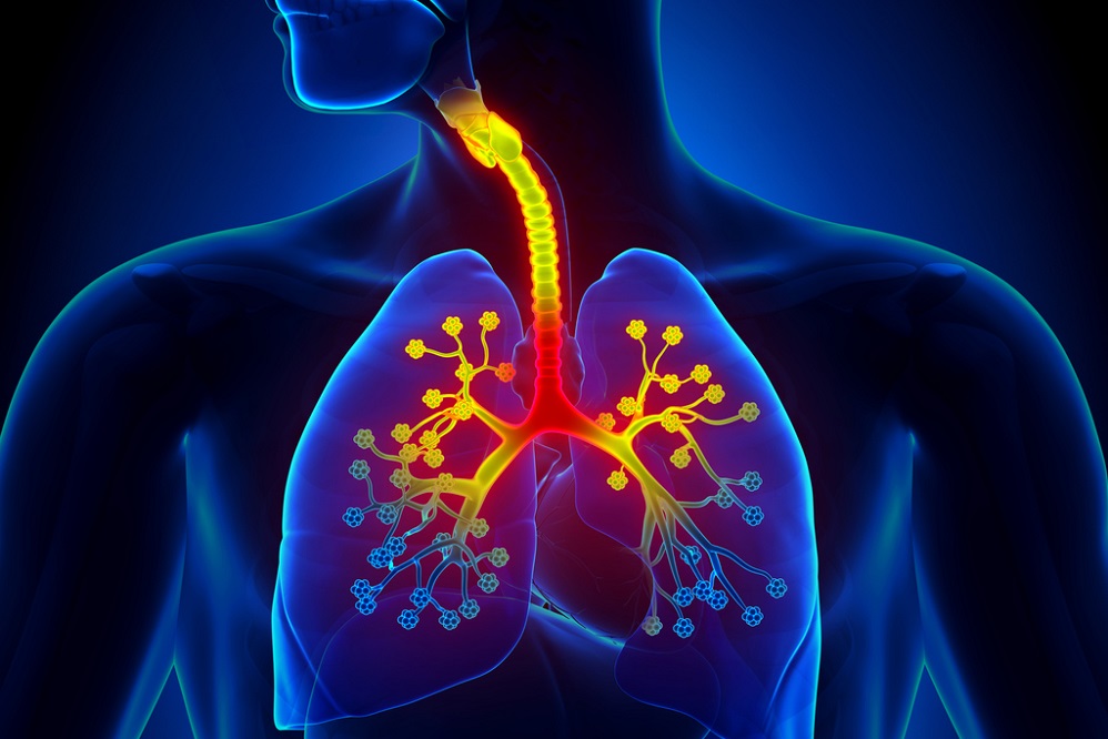 7 remèdes naturels contre la bronchite