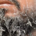 Les 5 meilleurs savons à barbe – Avis & meilleurs choix