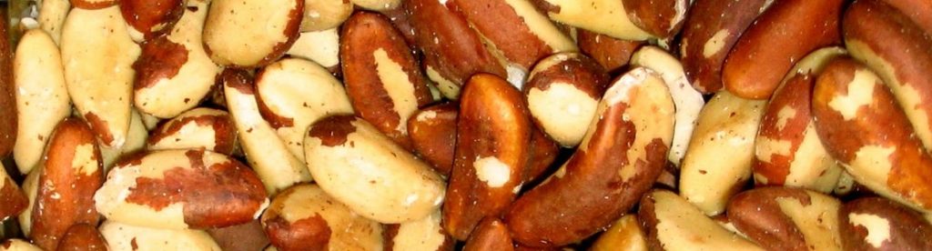 Bienfaits des noix du Brésil sur la santé