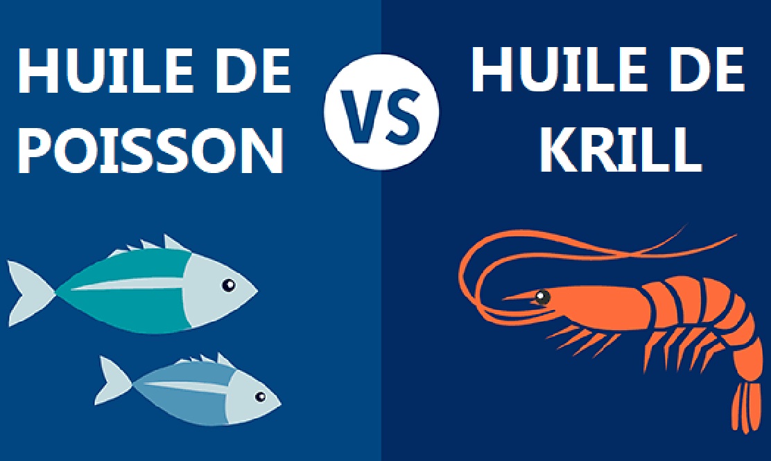 Huile de poisson vs. huile de krill : quelle est la différence ?
