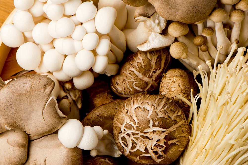 Bienfaits des champignons pour la santé