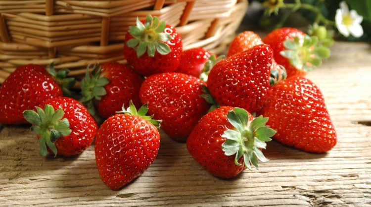 Bienfaits des fraises sur la santé (+ valeur nutritive)