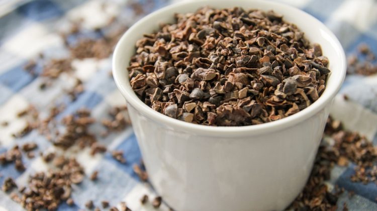 Bienfaits du grué de cacao sur la santé (+ valeur nutritive)