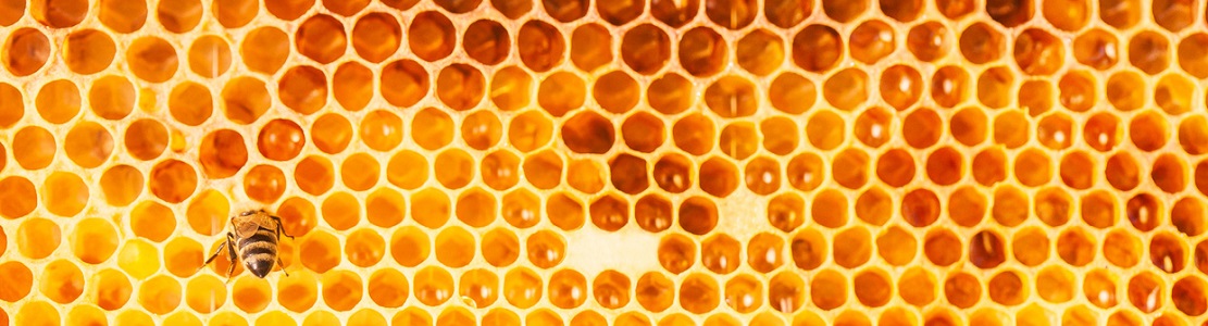 Bienfaits du miel brut sur la santé