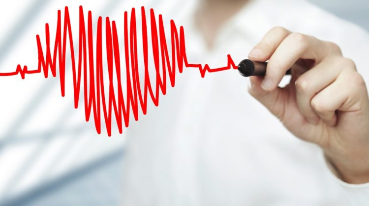 Le cœur est-il un muscle ou un organe ?