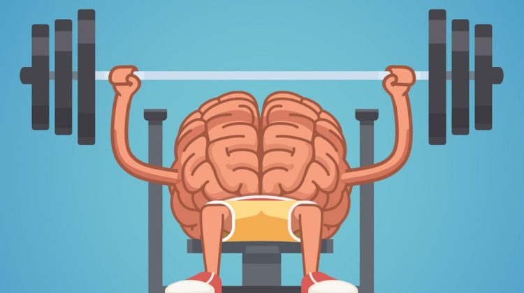 Quel est l'impact de l’entraînement cérébral sur le cerveau ?