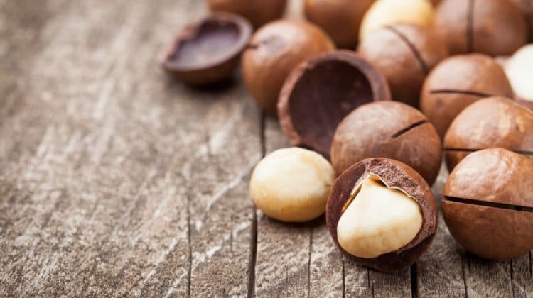 Bienfaits des noix de macadamia sur la santé (+ valeur nutritive)