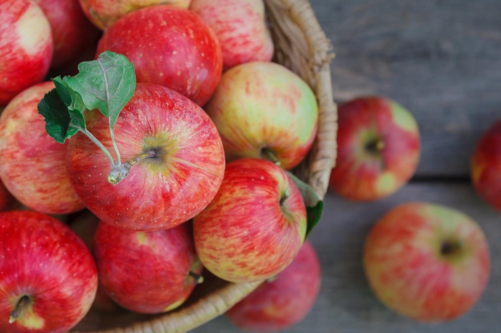 Bienfaits des pommes sur la santé (+ valeur nutritive)