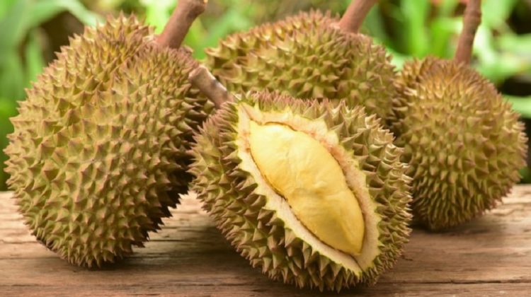 Bienfaits du durian sur la santé (+ valeur nutritive)
