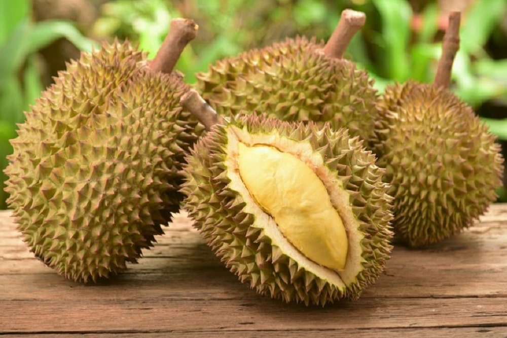 Bienfaits du durian sur la santé (+ valeur nutritive)