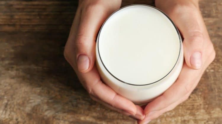 Bienfaits du lait de chamelle sur la santé (+ valeur nutritive)