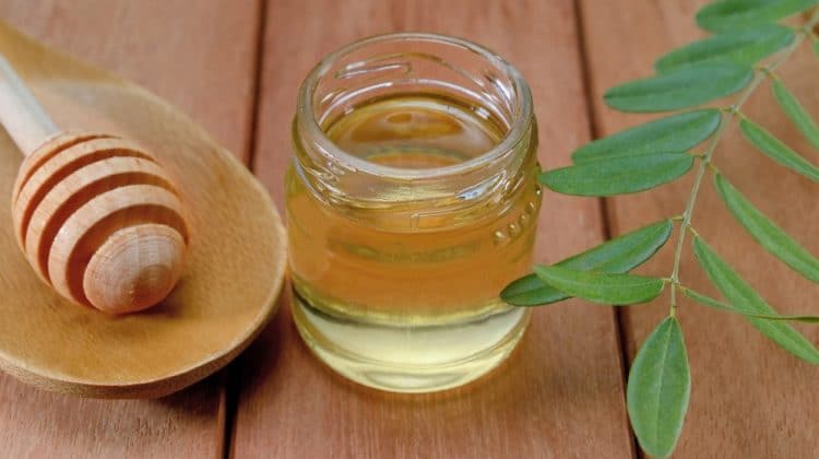 Bienfaits du miel d'acacia sur la santé (+ valeur nutritive)