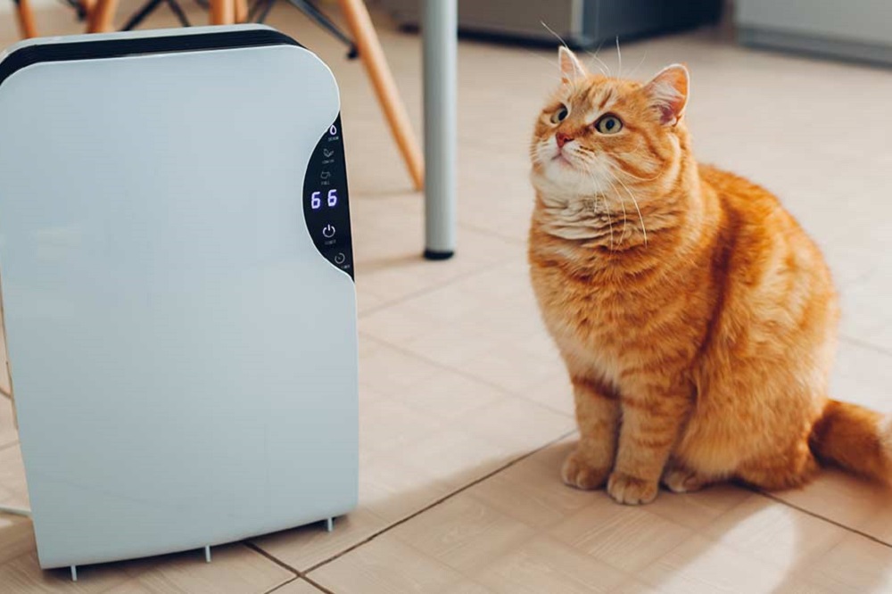 Les 5 Meilleurs Purificateurs D'air Pour Animaux De Compagnie - DrSoleil